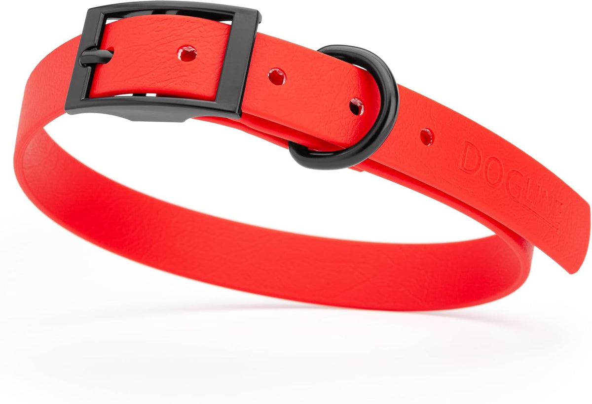Dogline Biothane Waterproof Dog Collar Strong Coated Nylon Webbing with Black Hardware Odor- Proof for Easy Care Easy to Clean High Performance Fits Small Medium or Large Dogs, Cherry Red
