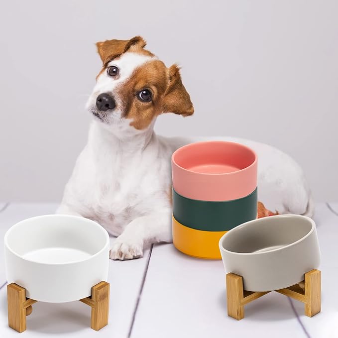SPUNKYJUNKY 15° Slanted Ceramic Dog and Cat Bowl with Wooden Stand, Tilted Bulldog Food and Water Bowl No Slip Non-Spill for Cats Medium Dogs Big Face Pets 28.7 OZ (3.6 Cups, Yellow)