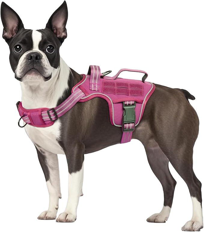 Small Dog Harness, Heavy Duty Tactical No Pull Dog Harness, No Choke, Easy On and Off Pet Vest with Molle System, Adjustable Reflective Dog Vest with Breathable Padded for Walking Hiking Training
