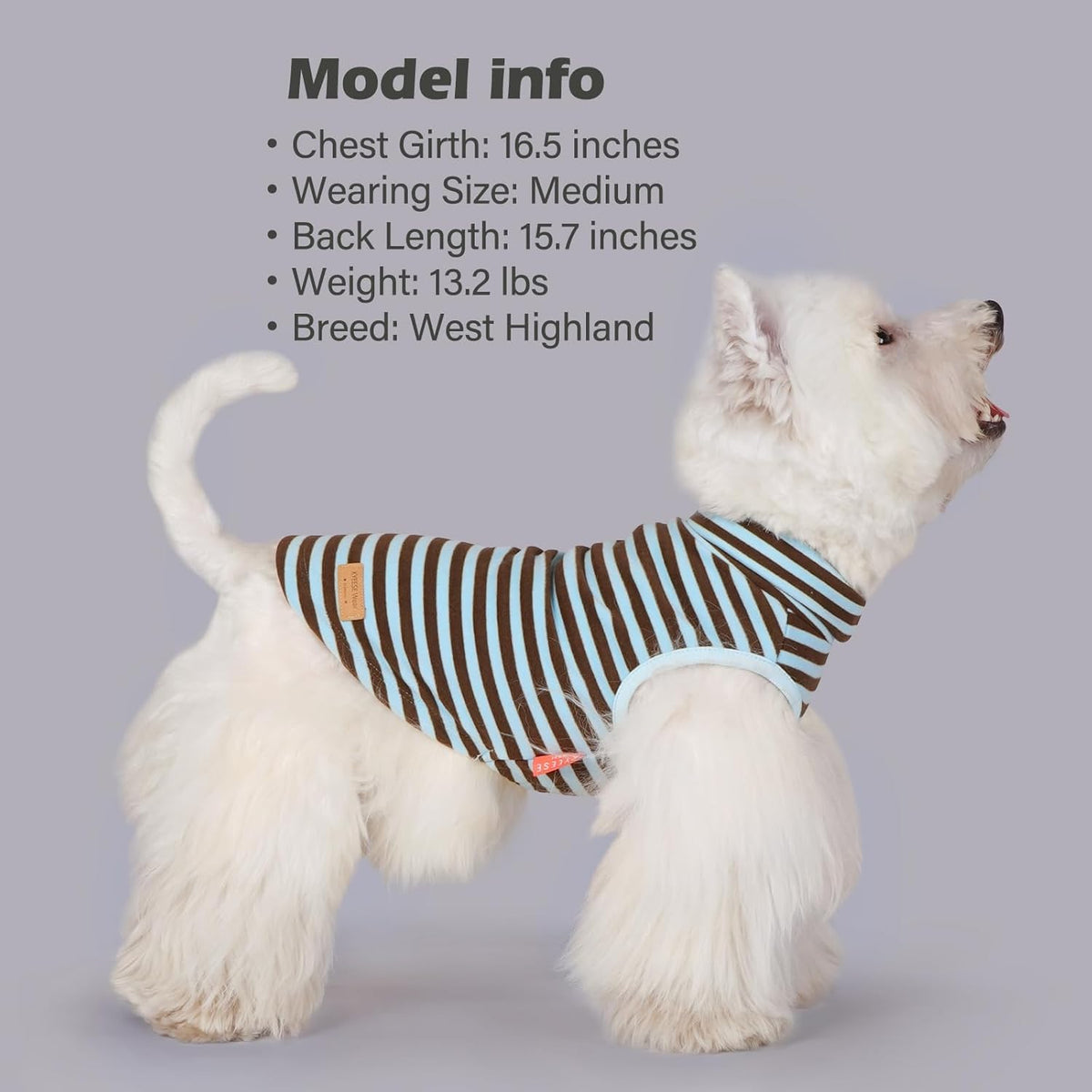 KYEESE 2Pack Dog Sweater Stretchy Dogs Clothes Soft Dachshund Clothes Turtleneck Small Pet Sweaters Pullover Pets Sweatshirt Warm Pet Coats Dog Sweaters for Small Dogs Male