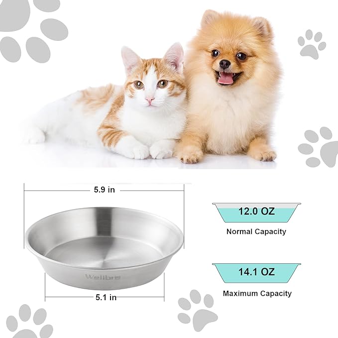 Cat Food Bowls, 2 Pcs Stainless Steel Cat Food and Water Bowls, Whisker Fatigue Shallow Cat Dishes, Small Dog Puppies Fat Faced Cat Kitten Supplies
