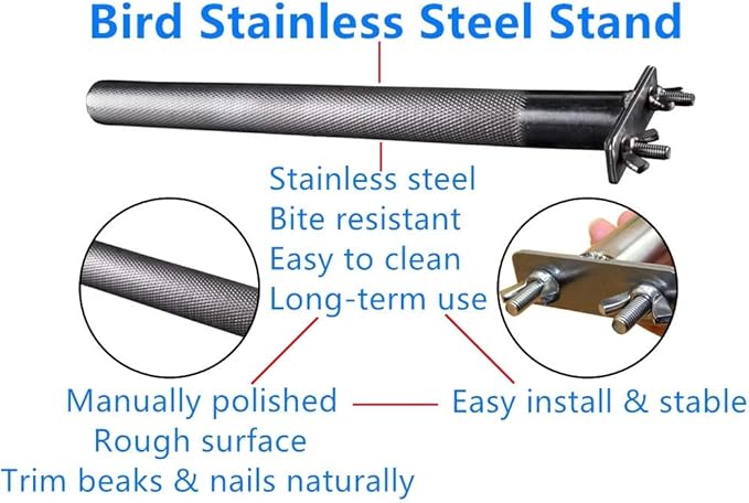 Bird Perch Stainless Steel Stand Parrot Rod Grinding Claws Trimming Beak Nails Grinding Stick Exercise Platform for Parakeet Cockatiel Conure African Grey Macaw Finch Bird Cage Accessories (XL)