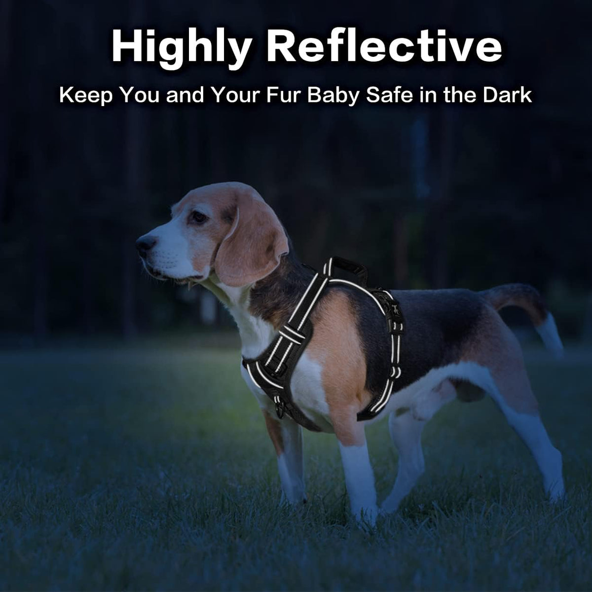 PoyPet No Pull Dog Harness, No Choke Front Clip Reflective Dog Vest with Soft Padded Vertical Handle, 3 Leash Attachments for Small Medium Large Dogs (Black,XL)