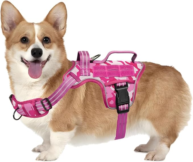 Small Dog Harness, Heavy Duty Tactical No Pull Dog Harness, No Choke, Easy On and Off Pet Vest with Molle System, Adjustable Reflective Dog Vest with Breathable Padded for Walking Hiking Training