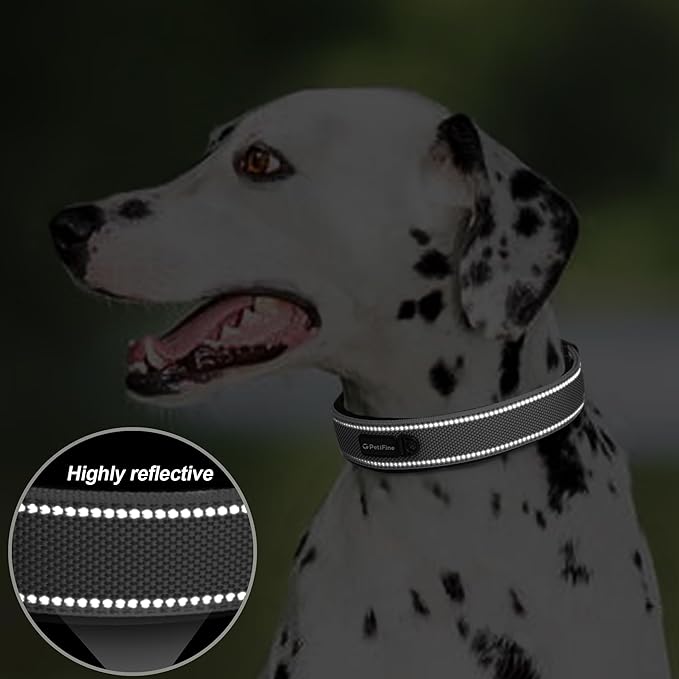 PetiFine Dog Collar for Large Dogs, Neoprene Padded and Adjustable, Reflective Wide Heavy Duty Pet Collars with Durable Metal Belt Buckle for Walking, Grey, L