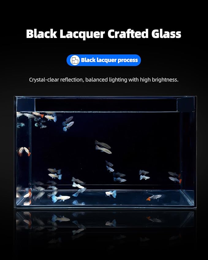3 Gallon Clear Glass Fish Tank, Small Fish Tank Aquarium for Betta, Goldfish, Snail,Shrimp and Aquatic Planting