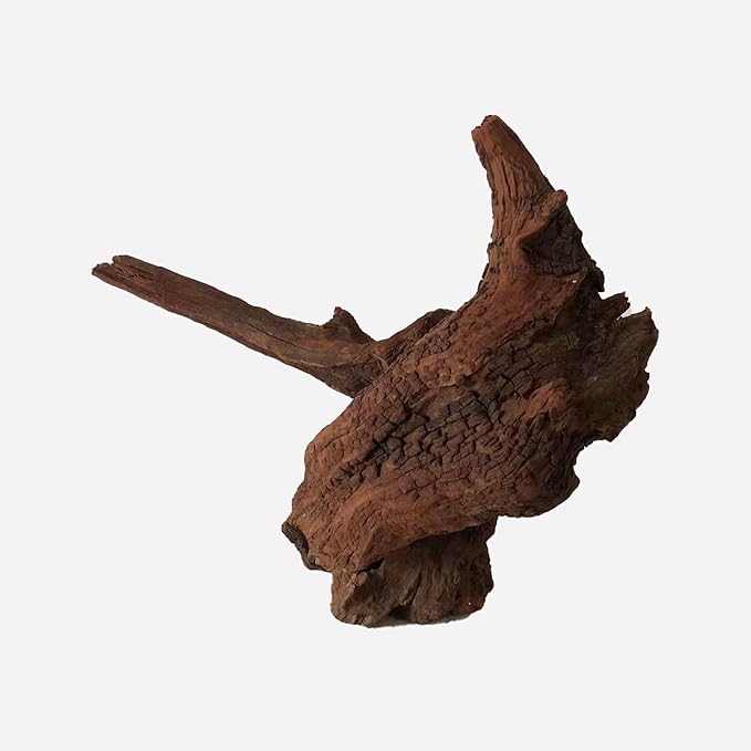 LYPHARD AQUARIUMS Natural Driftwood for Aquarium Decor, L11.02×W14.57×H12.99 Inches Large Drift Wood Decorations for Reptile Hide, Fish Tank, Optional Shapes