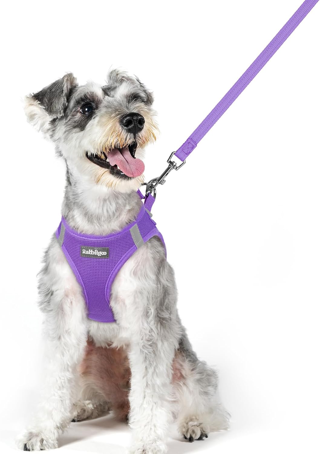 rabbitgoo Dog Harness Small Sized and Leash Set, Step in Soft Light Puppy Vest, Breathable Mesh Pet Harness, Reflective for Outdoor Safe Walking, Purple XL