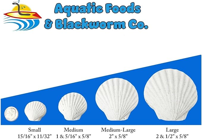 Aquatic Foods Inc. Calcium Feeder Small & Medium Shells. Extra Thick Shells for Shrimp, Snails, Crabs, Crayfish, Hermit Crabs and All Tropical Fish…75 Count Bag