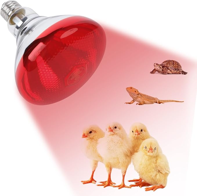 250W Red Heat Lamp Bulbs for Chicken,Infrared Flood Light Heat Lamp Bulb, Incandescent Light Heat Lamps for Chicks, Reptile, Pets, Par38 Glass E26 Base