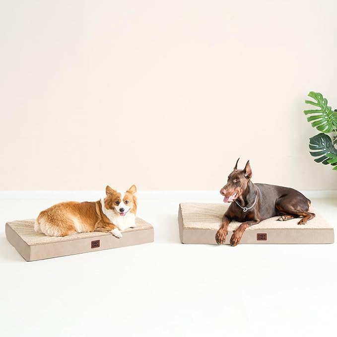 EHEYCIGA Orthopedic XL Dog Beds for Extra Large Dogs with Removable Washable Cover, Khaki, 44x32