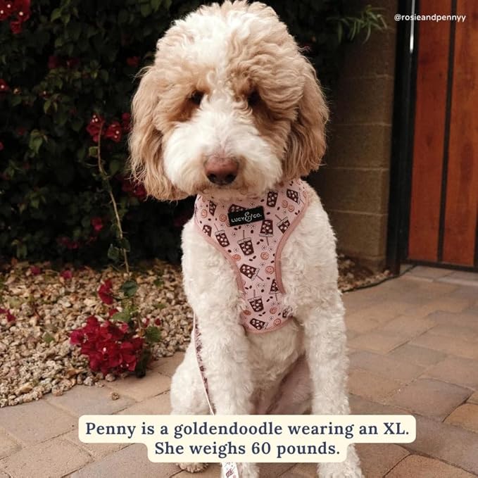Lucy & Co. Cute Reversible Dog Harness Walking Halter - Best Designer Pet Harnesses for XS - XL Dogs - Padded Adjustable Vest for Easy Walking. (Iced Coffee SZN Reversible Harness).
