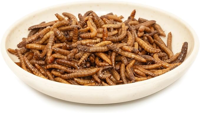6 Pack Canned Mealworms for Reptiles, Fish, Birds and Small Animals, Meal Worms, Healthy High Protein Treat, Reptile Bird Fish Food 7.2 Ounces Total