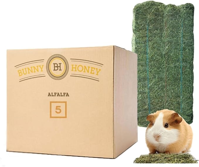 Bunny Honey Organic Alfalfa Hay for Guinea Pigs 12 lb Dim wt/5 lb High-Protein & Calcium, Supports Growth & Dental Health, Fresh & Nutritious