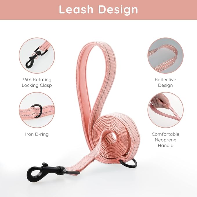 BELLA & PAL Dog Harness for Small Dogs, Medium, Coral Pink, Animal Harness with Leash Set, No Pull, Step in Design, Reflective Strip, Lightweight Mesh, Harness for Extra Small Dogs