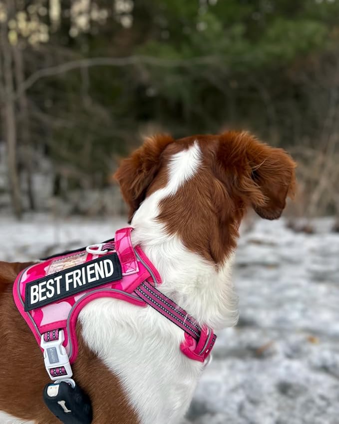 Auroth Tactical Pet Harness for Small Medium Large Dogs No Pull Adjustable, Reflective K9 Working Training Easy Control Vest Military Service Dog, Large, Pink Camo