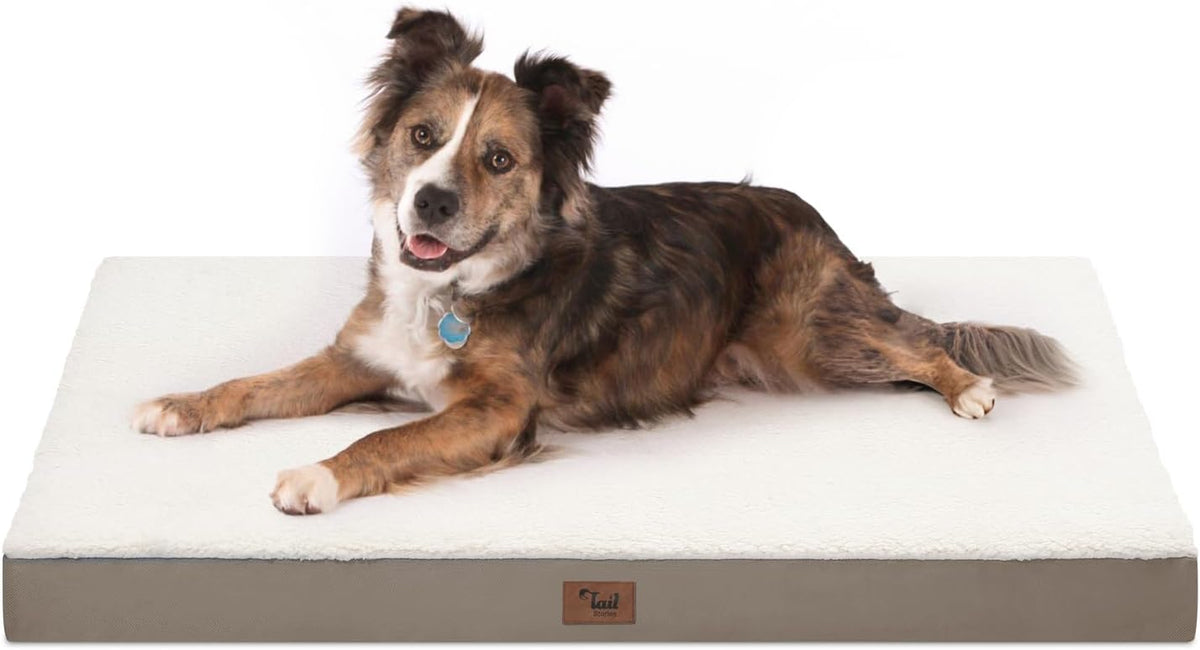 Orthopedic Dog Bed for Large Dogs, Washable Dog Bed for Large Sized with Egg Crate Foam Pet Mat, Removable Oxford Cover, Khaki White
