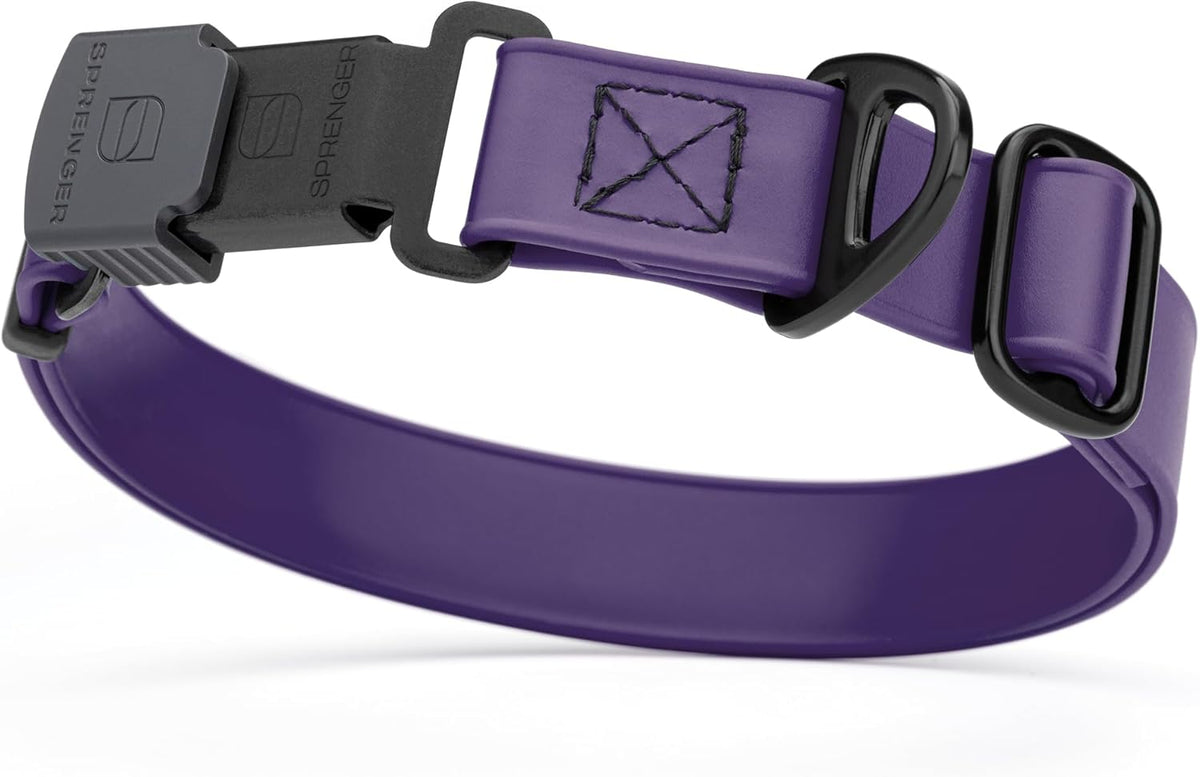 Dogline Biothane Waterproof Dog Collar with Herm Sprenger Stainless Steel Quick Release Buckle – Heavy Duty Tactical Durable Collar for Dogs – Comfortable and Safe Pet Collar, W 3/4" L 12-19", Purple