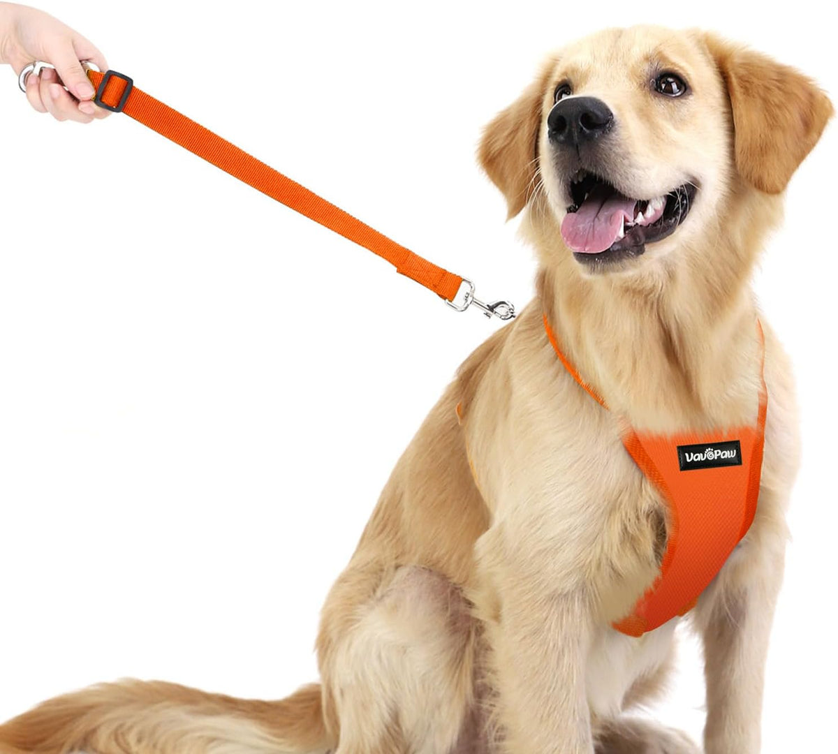Dog Seat Belt, Safety Vest Dog Car Harness with Adjustable Buckle Dog Seat Belt for Vehicle Nylon Pet Safety Seat Belts Heavy Duty(M, Orange)