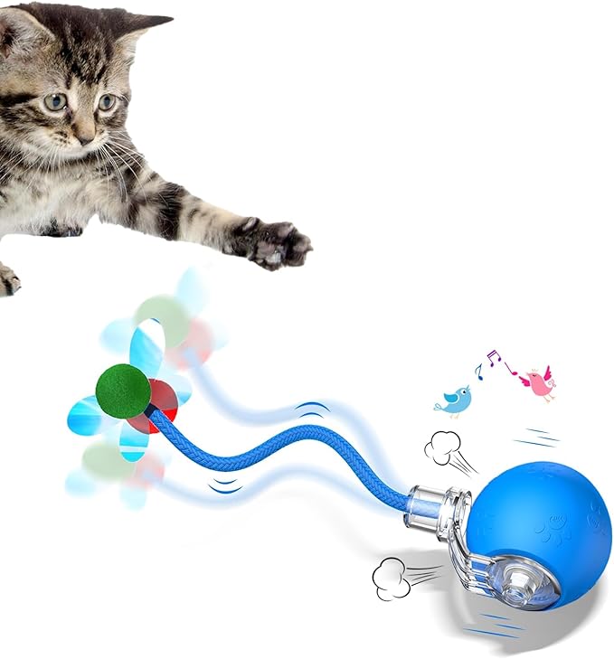 Interactive Cat Toys for Indoor Cats - Kitten Toy with Speedy Tail 2.0, Automatic Cat Toys for Bored Indoor Adult Cats, Motion-Activated, 2025 New Upgraded, USB Rechargeable (Blue)