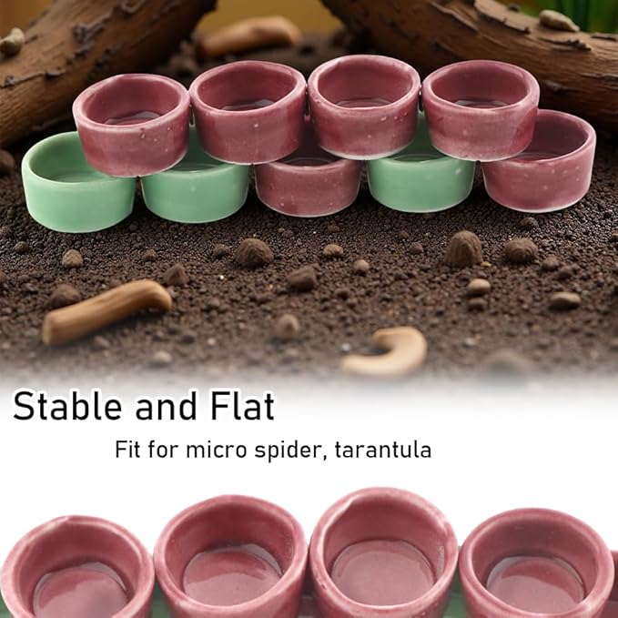 9 Pcs Tarantula Water Bowl Ceramic Mini Dish for Spider Tarantula Hermit Crab Terrarium Breeding Feeders (Colors May Vary)