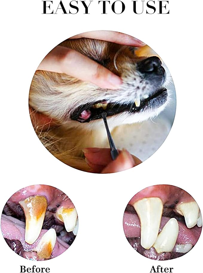 Hotop 3 Pieces Dog Dental Tooth Scaler and Scraper Stainless Double Headed Tarter Removing Tool Scraper Pet Teeth Cleaning Tools for Dog and Cat