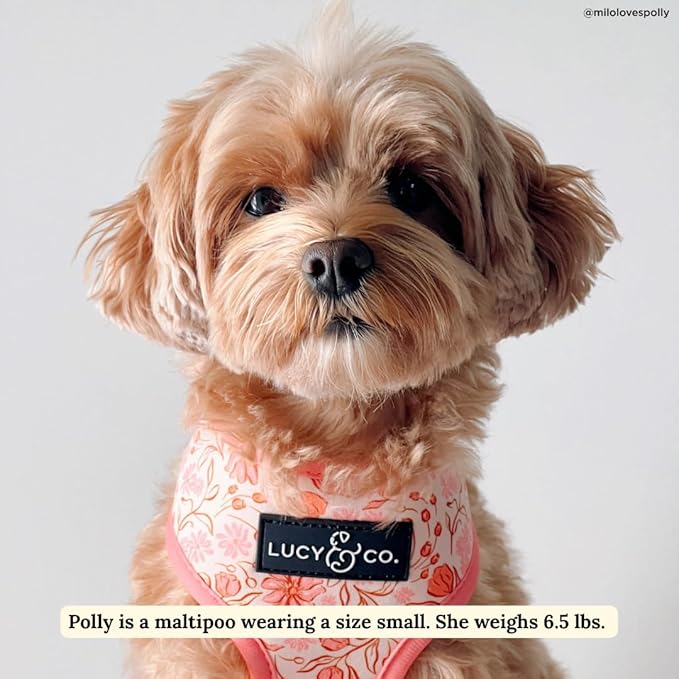 Lucy & Co. Cute Reversible Dog Harness Walking Halter - Best Designer Pet Harnesses for XS - XL Dogs - Padded Adjustable Vest for Easy Walking-XLarge-Peach Pink Floral Plaid