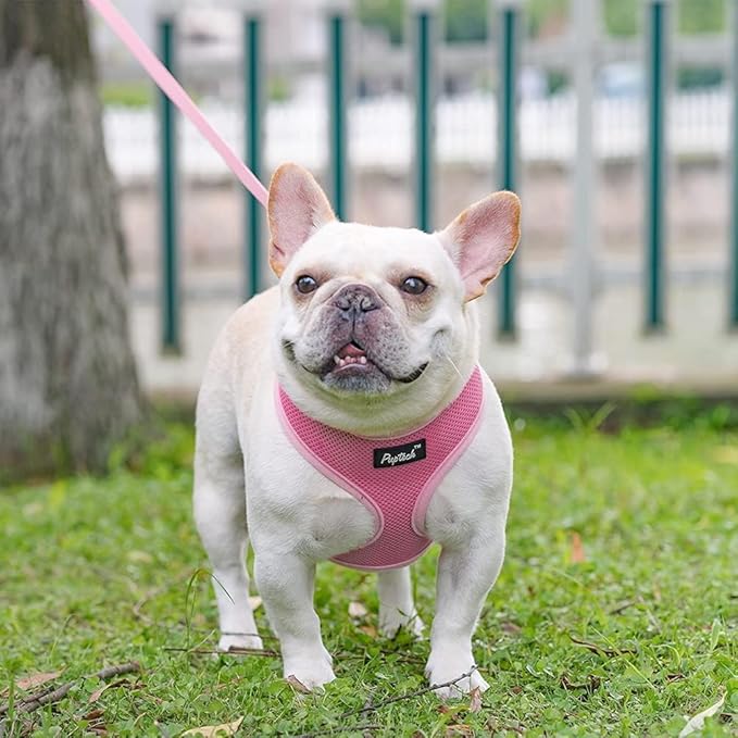 PUPTECK Soft Mesh Dog Harness and Leash Set Pet Puppy Cat Comfort Padded Vest No Pull Harnesses, Solid Pink, M