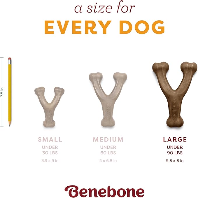 Benebone Pumpkin Spice Wishbone – Limited Edition Flavor, Durable Dog Chew Toy for Aggressive Chewers, Made in USA, Large