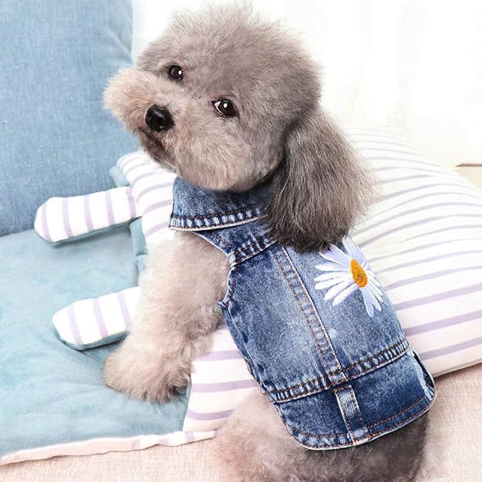 Dog Denim Jacket with Embroidered Daisy, Ripped Vintage Jean Vest for Small Dogs, Pugs, Chihuahuas, Spring Summer Autumn Festival Outfit