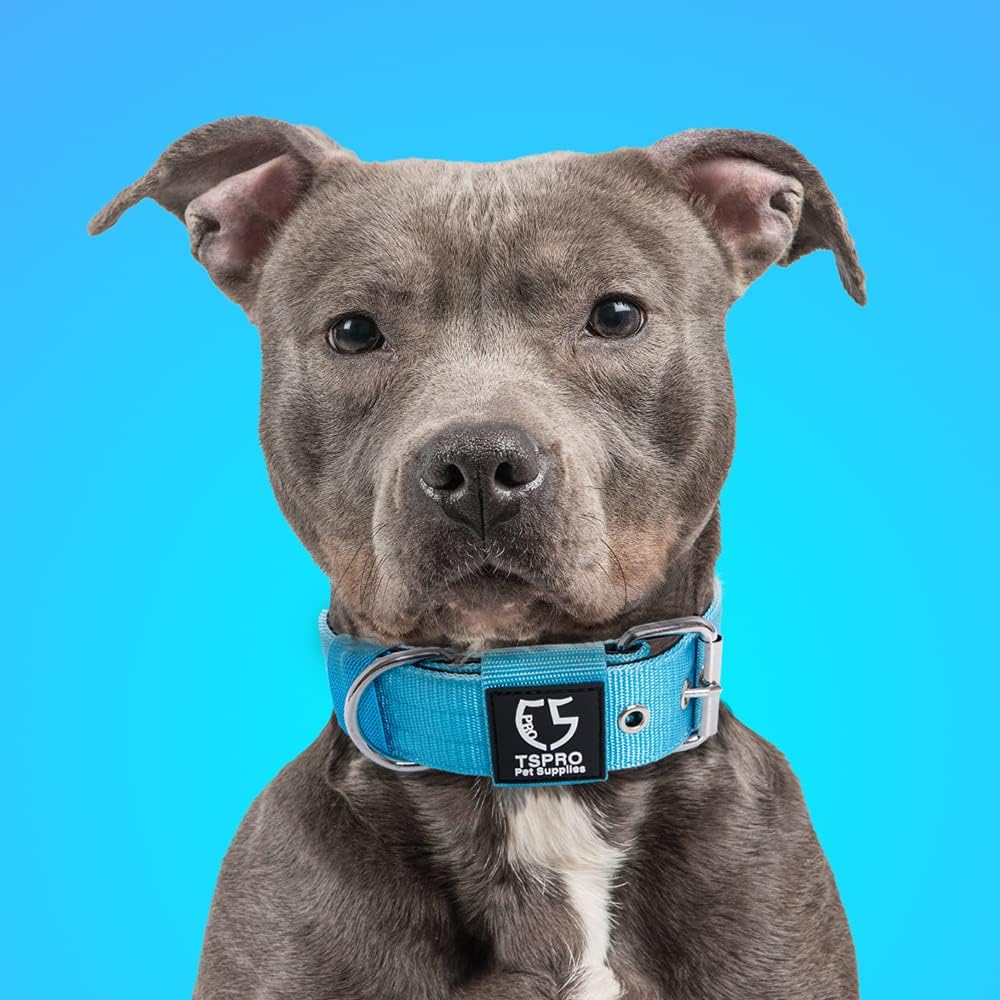 TSPRO Tactical Dog Collar 1.5 Inch Wide Thick Dog Collars with Heavy Duty Metal Buckle, Durable, Strong, Adjustable for Medium to Large Dogs (Blue L)