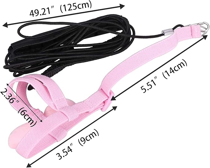 Dnoifne Parrot Harness and Leash, Adjustable Training Design Anti-Bite, Nylon Rope with Cute Wing for Parrots, Suitable for Alexandrine, Scarlet, Keck, Mini Macaw & Same Size Bird (pink)