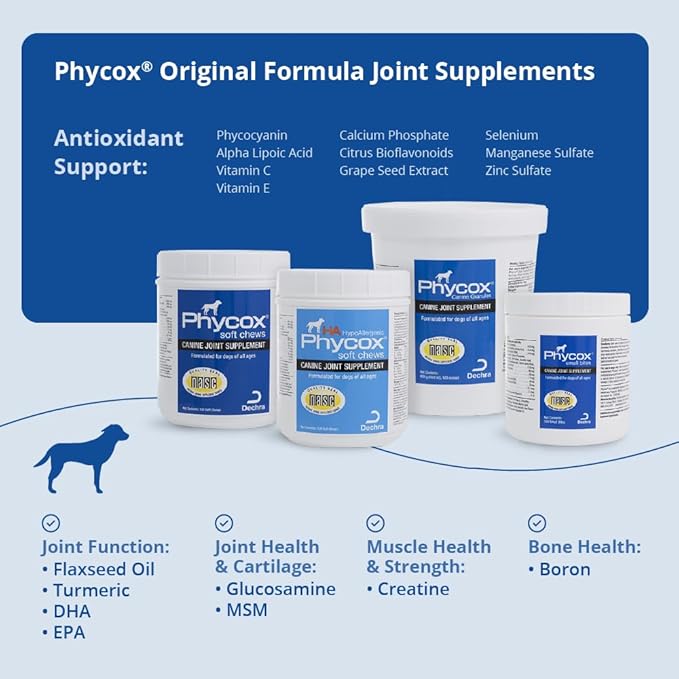 Joint Supplement Small Bites for Dogs, 120 Ct