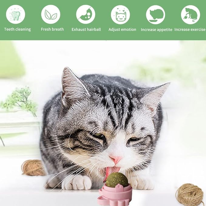 Oncpcare 3 Pack Rotatable Edible Catnip Balls for Cats Wall Cat Mints Ball Toys for Indoor Cats Cat Removal Hairball Toys Catnip Balls Treats for Kitten Kitty Playing Chewing