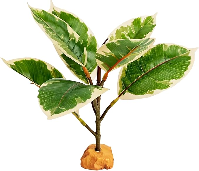Woyrise Reptile Plants for Terrarium, 9" Fake Rubber Tree Ball Python Tank Accessories Habitat Decor fit Crested Gecko Leopard Bearded Dragon Lizard Chameleon Snake - Ficus Elastica Tineke
