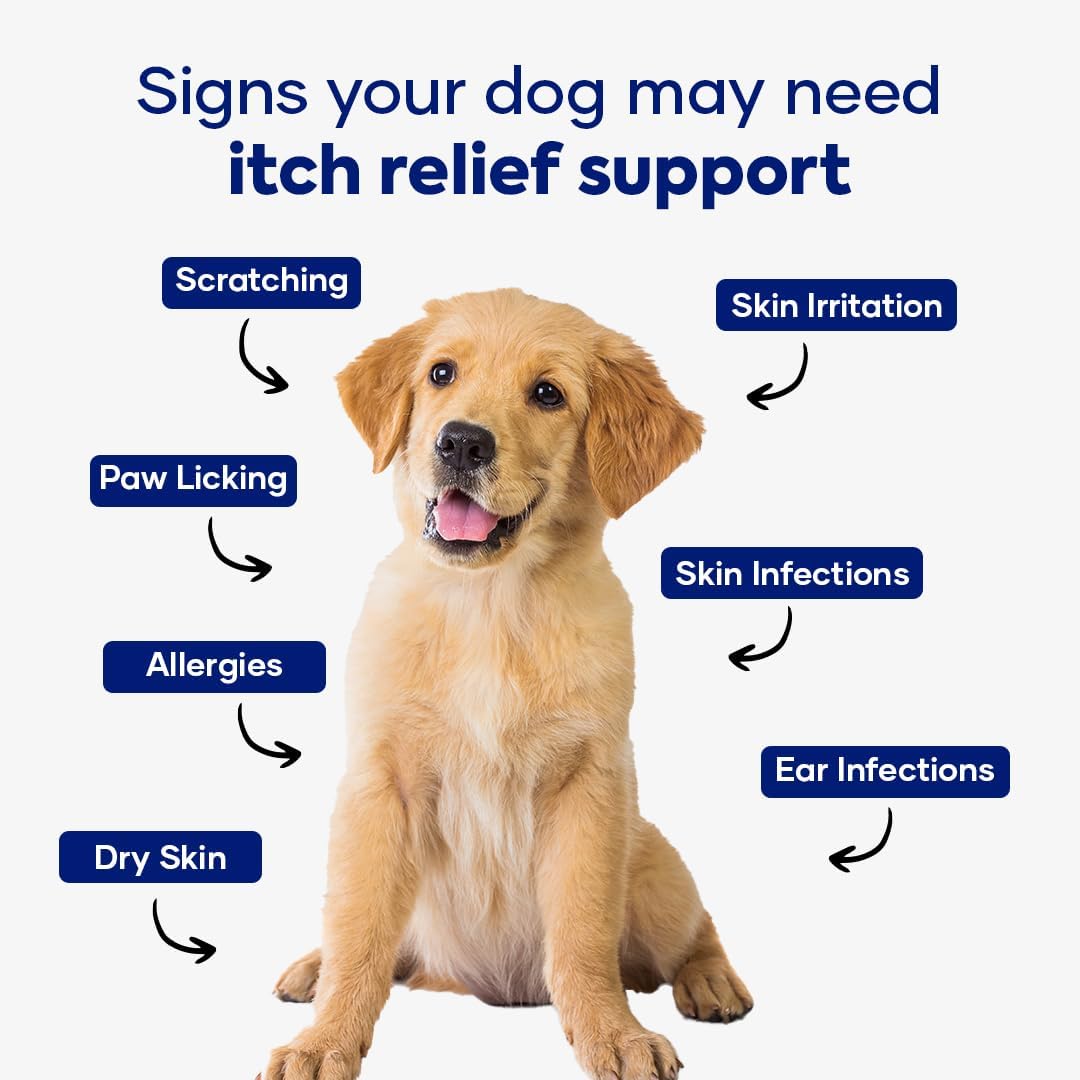 Itch Relief Formula for Dogs – Vitamin E & Borage Oil Supplement – Packed with Beneficial Fatty Acids for Healthy Skin – Seasonal Allergies Support Chews | Pack of 3