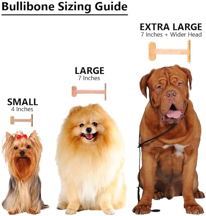 Bullibone Nylon Dog Chew Toy for Aggressive Chewers - Dental Hygiene Bone with Bacon Flavor, Durable Tough Chew Toys for Large Dogs, Indestructible Dog Bone - 3 Pack