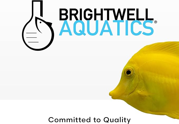 Brightwell Aquatics MicroBacter Start XLF - Concentrated Freshwater Nitrifying Bacteria - Quick Start Fish Tank Starter, Lift Microbe Levels & Water Filtering - Aquarium Water Treatments, 4.22 fl oz