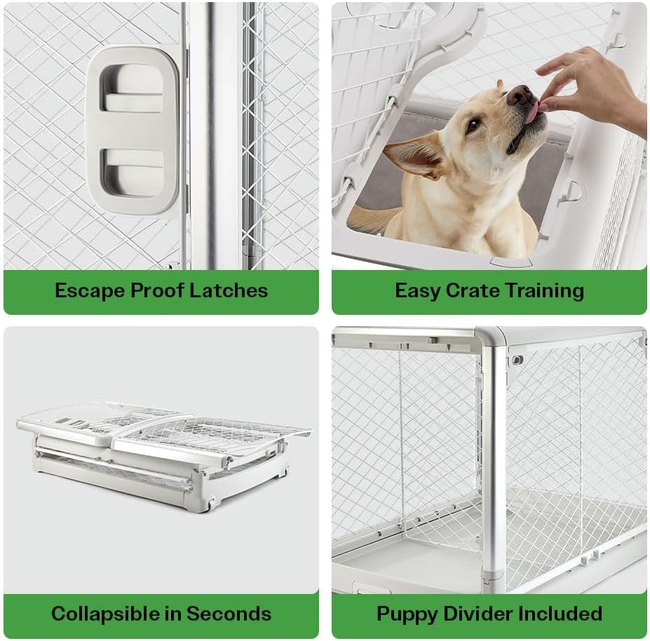 DIGGS Revol Collapsible Dog Crate with Wheels - Premium Portable Dog Crate - Safe, Stylish, and Convenient Indoor Kennel (Smoke, Intermediate)