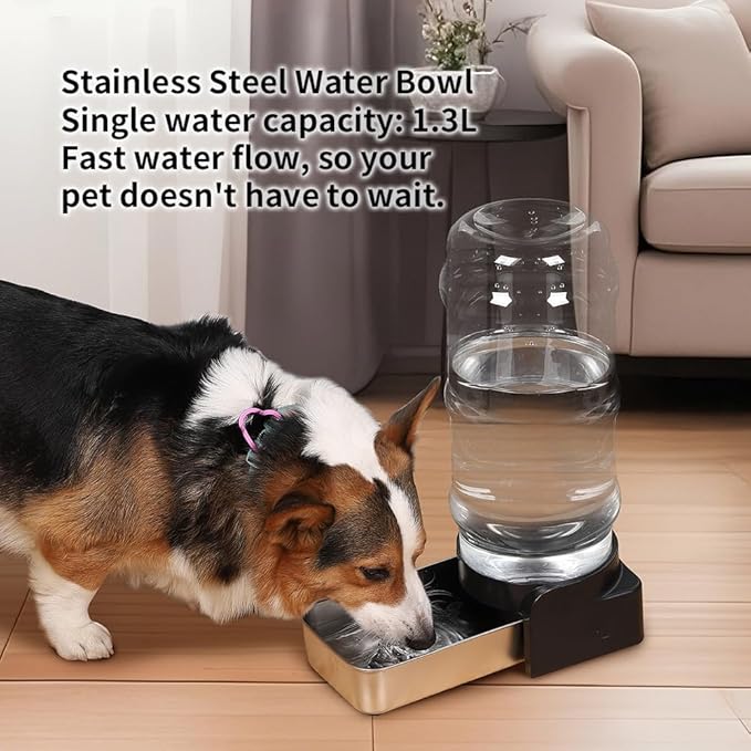 PAKEWAY 1.5 Gallon Automatic Gravity Dog Water Bowl Dispenser, Stainless Steel Large Capacity Pet Waterer with 3 Filters for Medium Dogs and Cats