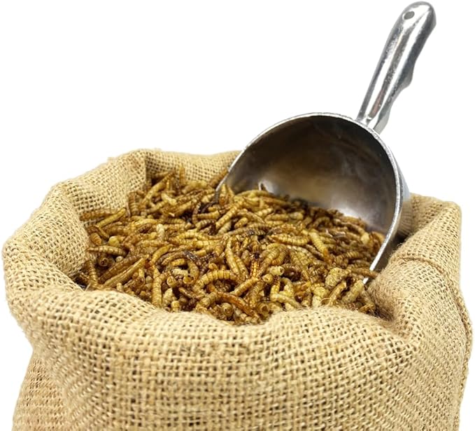 Chubby Mealworms Bulk Dried Mealworms for Wild Birds, Chickens etc. (2Lbs)
