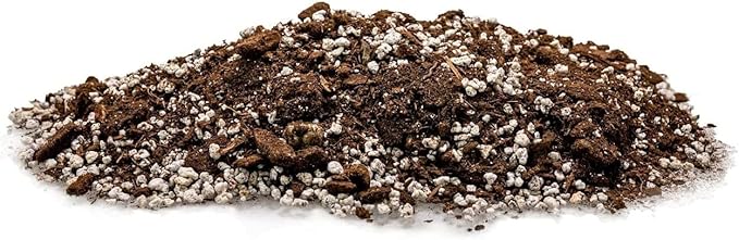 GARDENERA Palm Tree Potting Mix - The Ultimate Soil for Strong and Healthy Palms - Top Choice for Palm Tree Growers [5 Quart Bag]
