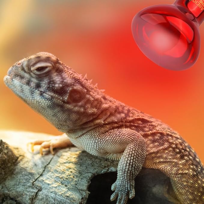 Aiicioo Reptile Red Light Bulb - Reptile Heat Lamp Bulb Infrared Basking Spot Lamp for Bearded Dragon Lizard Turtle Hermit Crab Leopard Gecko Snake Chameleon 50W
