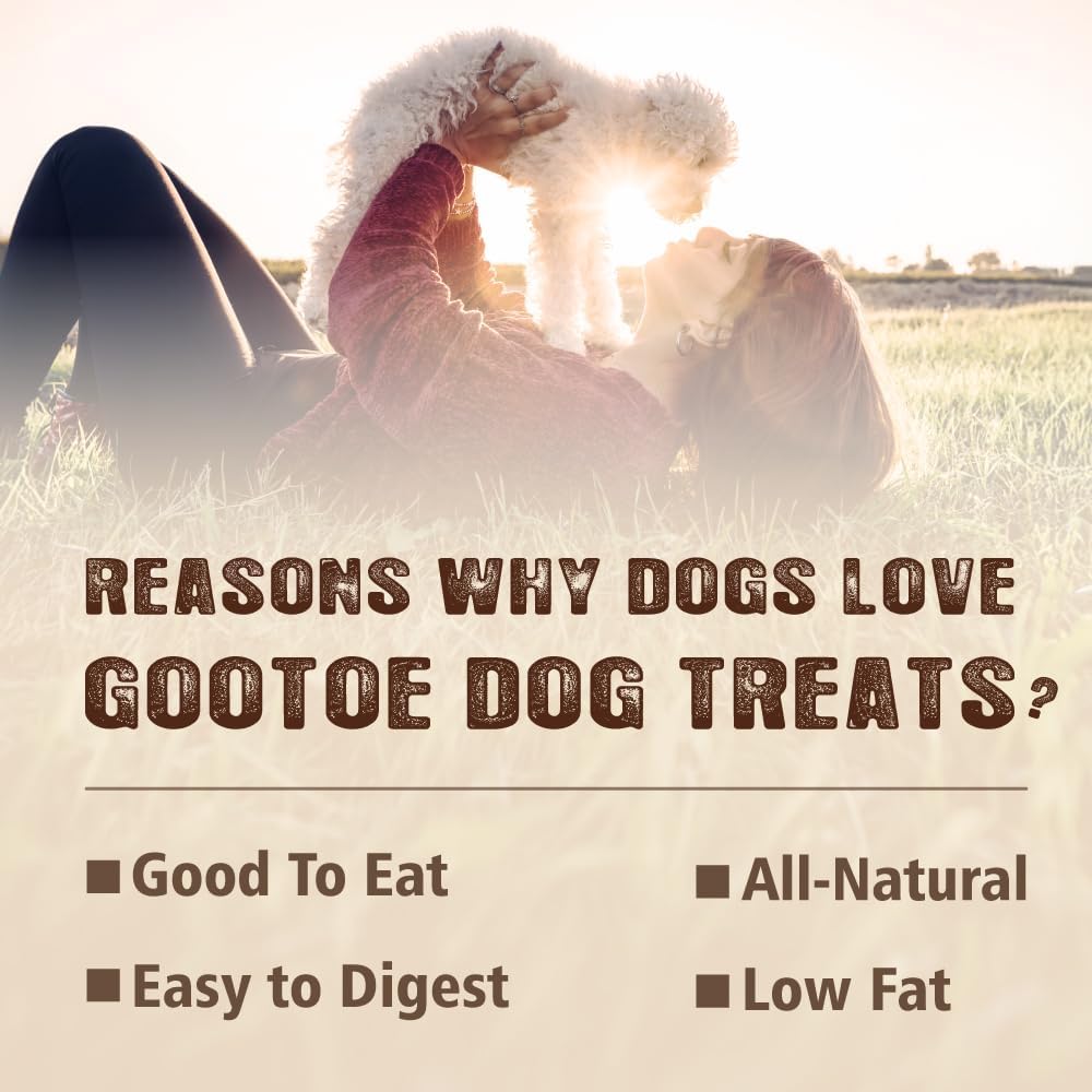 Gootoe Turkey Tendon Dog Treats, Pretzel (M) 3.17 oz, USA-Sourced Turkey Tendon, Natural Snack, Premium Puppy Chews, Hypoallergenic, Reseal Value Bags, Size for Medium Dogs (Pack of 2)