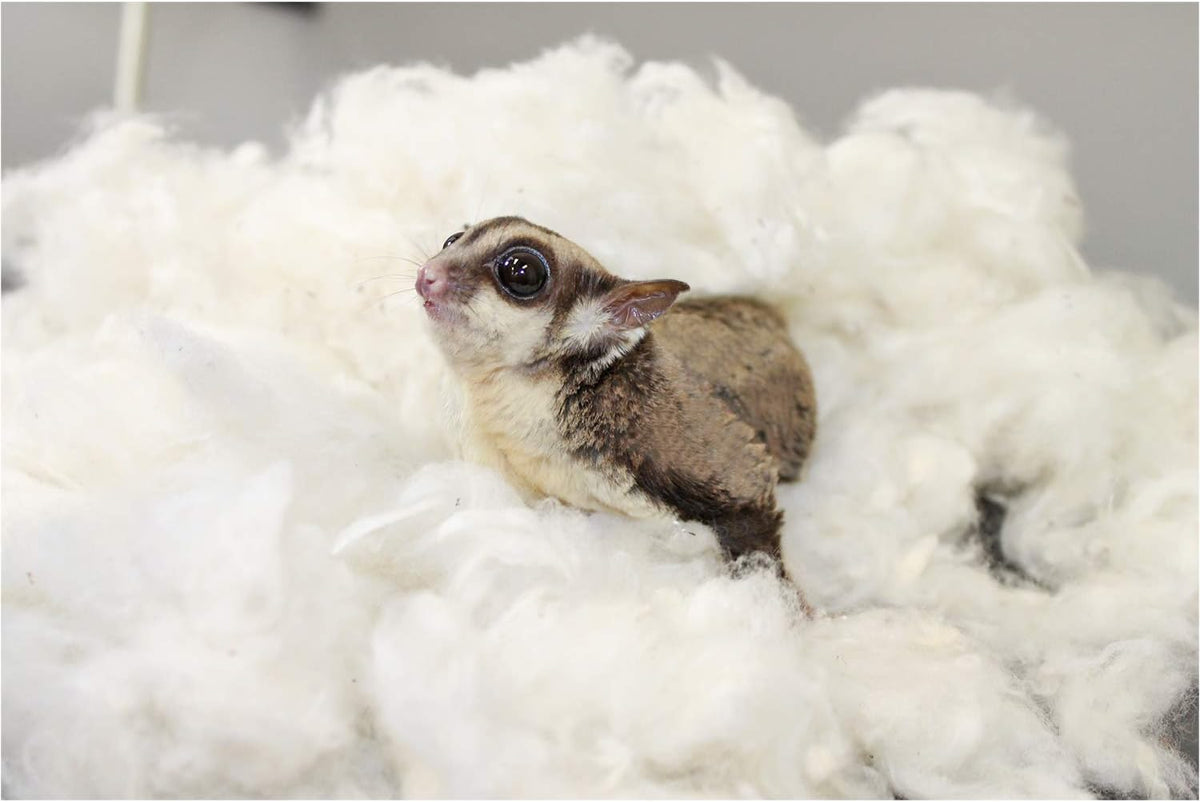 All-Natural Nesting Material (4 oz.) - 100% Cotton Eco-Friendly Animal Bedding - For Sugar Gliders, Squirrels, Hamsters, Rabbits, Chinchillas, Rats, Mice, Gerbils, Guinea Pigs and Other Small Pets