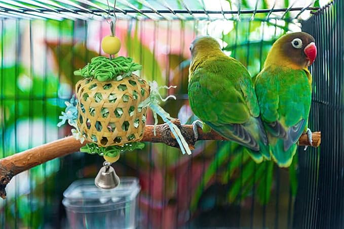 Bird Toys for Conures Parakeet, Birds Cage Accessories, Bird Shredding Foraging Toys for Cage