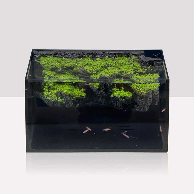 hygger Horizon 8 Gallon LED Glass Aquarium Kit for Starters with 7W Power Filter Pump, 18W Colored led Light, Wide View Curved Shape Fish Tank with Undetachable 3D Rockery Background Decor