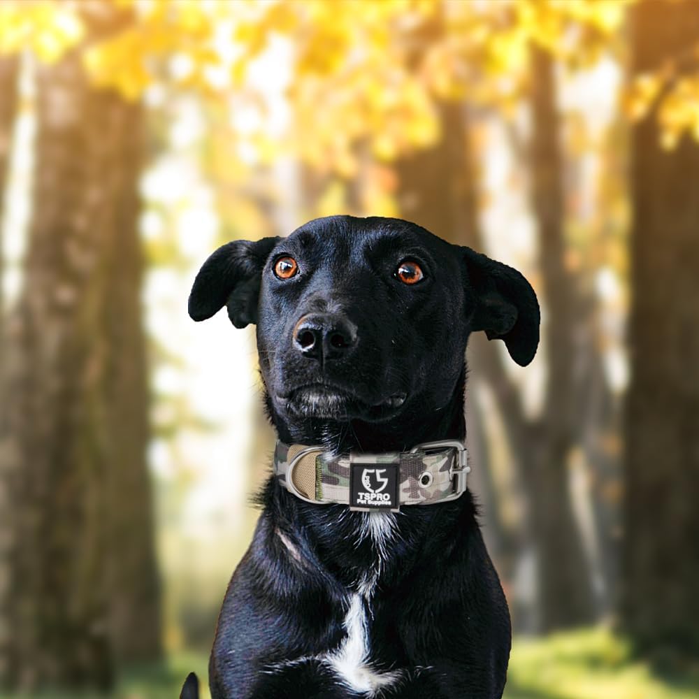 TSPRO Tactical Dog Collar 1.25 Inch Wide Thick Dog Collars with Heavy Duty Metal Buckle, Durable, Strong, Adjustable for Small Dogs (Military Green S)