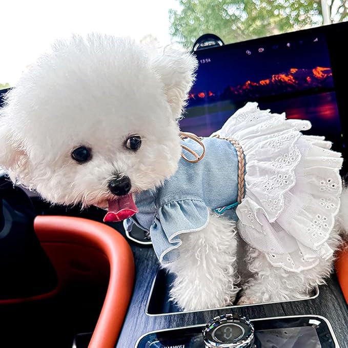 Girl Dog Denim Dress with Flared Sleeves Dog Jeans Jacket Blue White Puppy Clothes for Small Dogs Cat Apparel Cake Skirt Pet Outfit (Blue, Small)