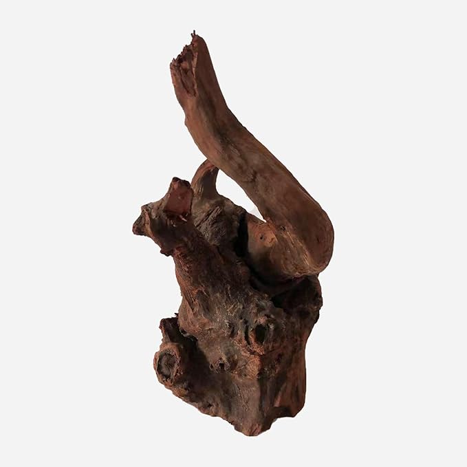 LYPHARD AQUARIUMS Natural Driftwood for Aquarium Decor, L12.99×W9.45×H13.39 Inches Large Drift Wood Decorations for Reptile Hide, Fish Tank, Optional Shapes